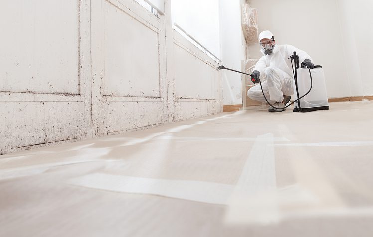 Person spraying for mold in protective gear.